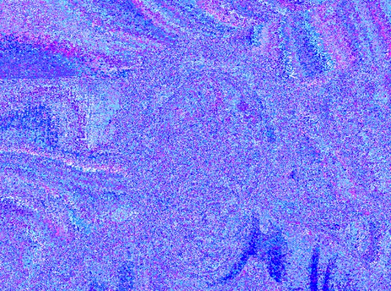 whoun_031012_Bits_Packet_Mirror